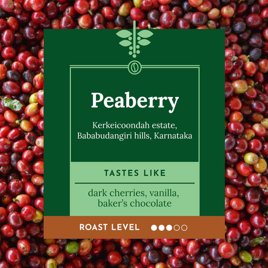 Single origin, Specialty Indian Peaberry Coffee. Tasting notes include cherry vanilla, baker's chocolate with a velvety mouthfeel.
