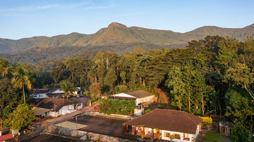 Halli Berri Coffee, Kambihalli estate, Chikmagalur, boutique artisanal specialty arabica coffee India