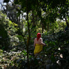 Person walking through a coffee plantation with trees and greenery