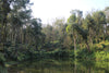 Amruthavarshini estate specialty coffee, Aldur Hobli, Chikmagalur, Karnataka, India. Artisanal specialty coffee producer.