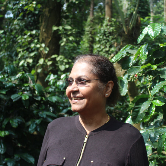 Amruthavarshini estate specialty coffee, Aldur Hobli, Chikmagalur, Karnataka, India. Artisanal specialty coffee producer.