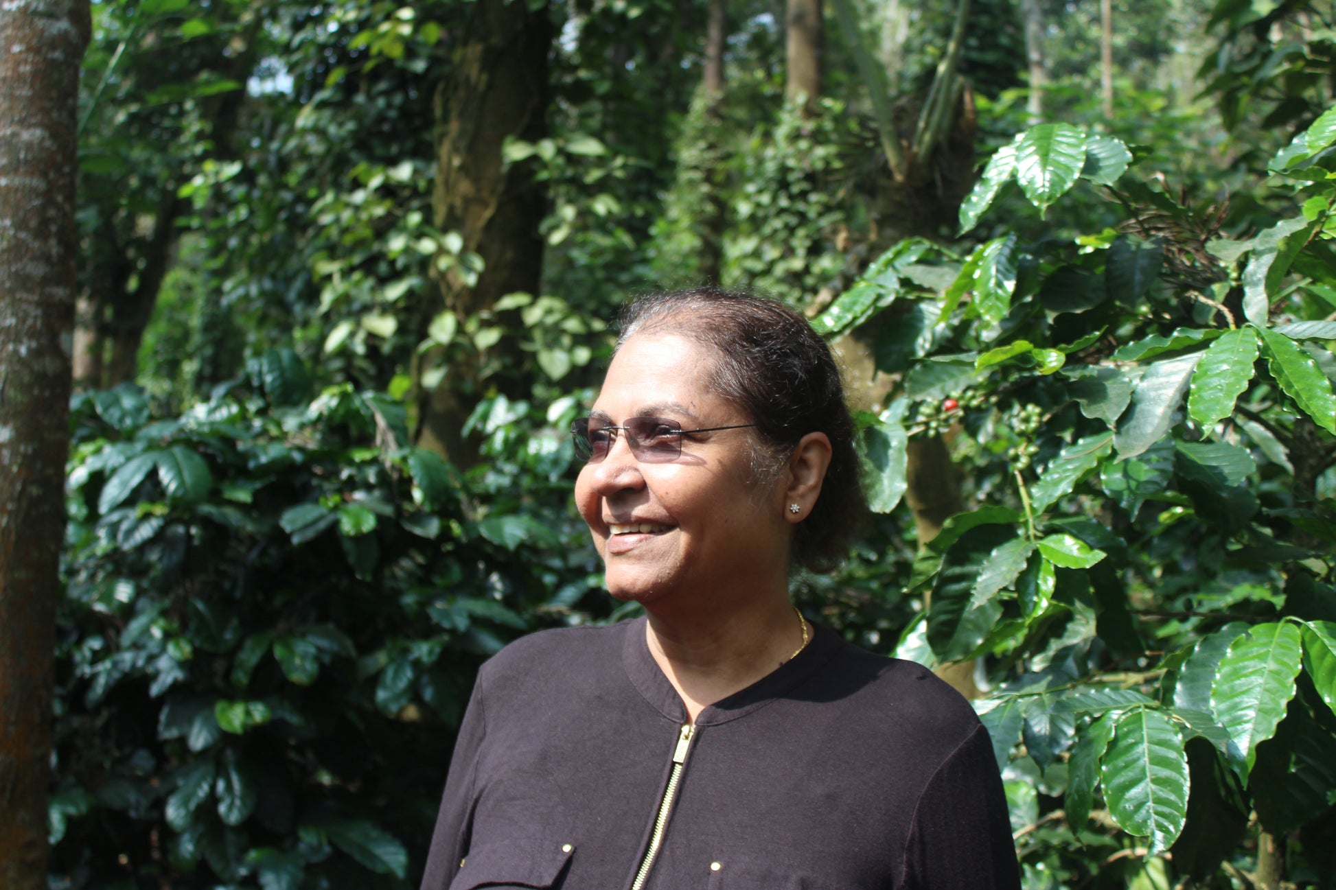 Amruthavarshini estate specialty coffee, Aldur Hobli, Chikmagalur, Karnataka, India. Artisanal specialty coffee producer.
