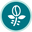 logo of Buy Freshly Roasted Specialty Indian Coffee
 – Kaveri Coffee