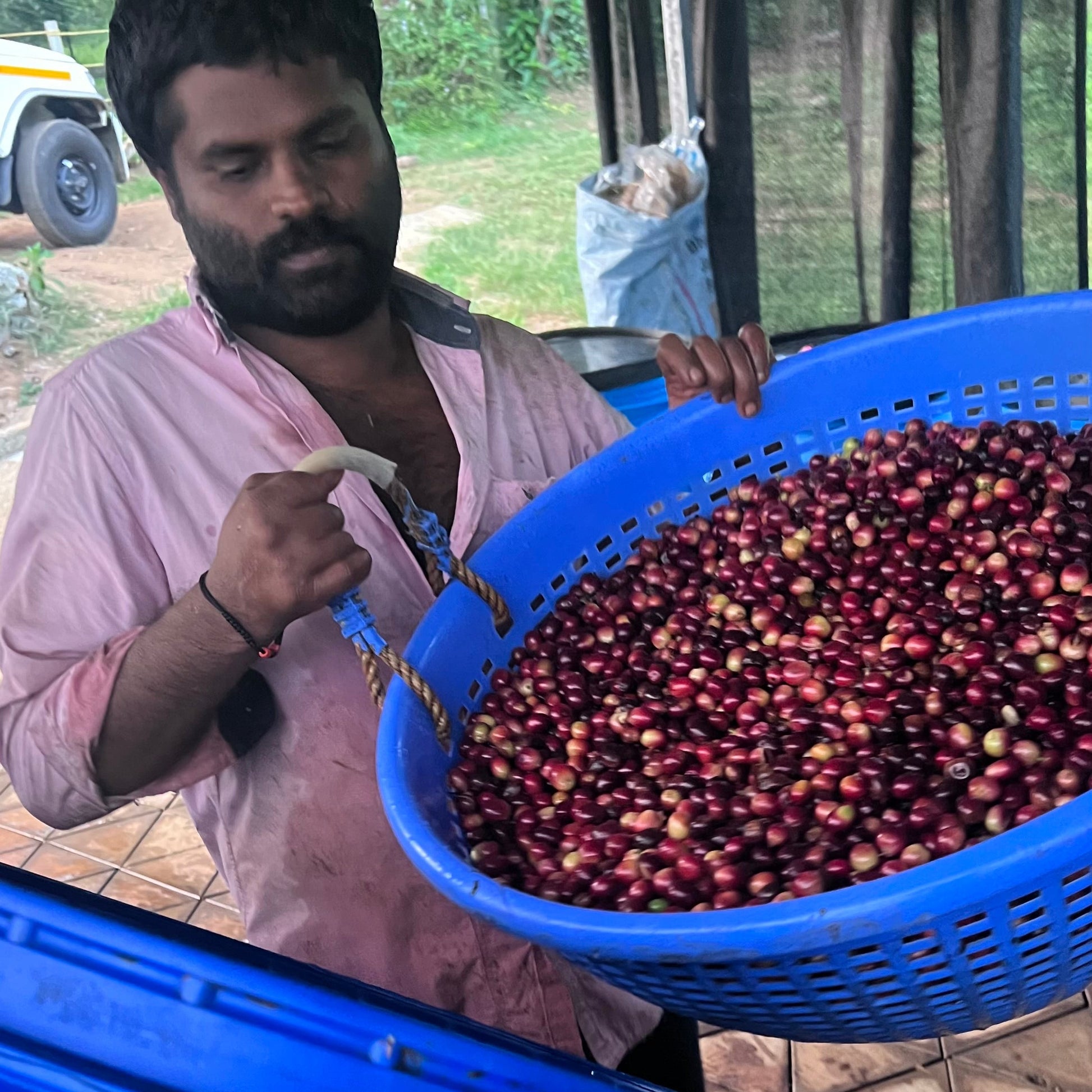Person holding a blue basket filled with red berries next to a large blue container.
