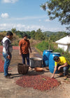 SM Plantation run by Satya Narayan Satapathy, boutique coffee farm in Koraput Odisha 