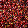 GREEN | Kerkeicoondah Peaberry