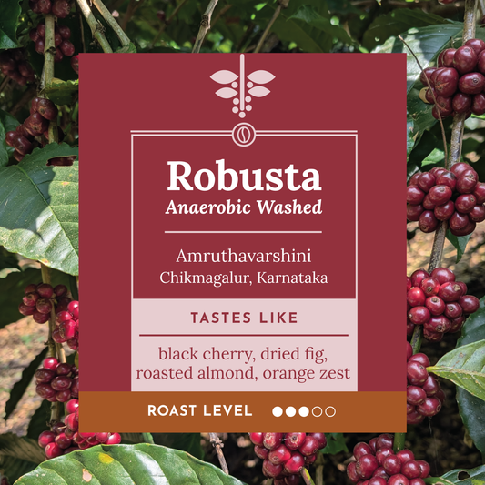 MICROLOT | Amruthavarshini Robusta