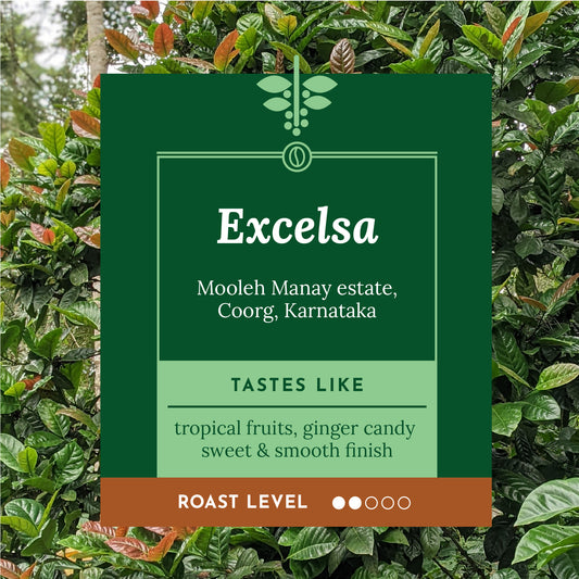 Single origin, Specialty Indian Coffee, Mooleh Manay Excelsa. Kaveri Special Release