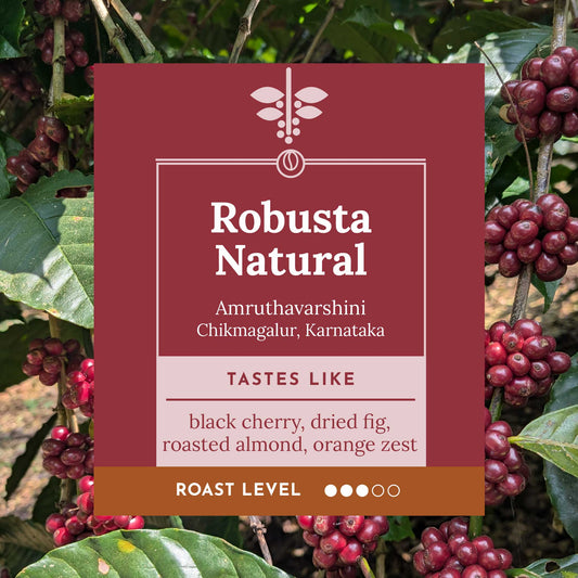 Amruthavarshini Robusta Natural. Single origin, Specialty Indian Coffee. Tasting notes include black cherry, dried fig, roasted almond, orange zest with full-bodied and smooth finish.