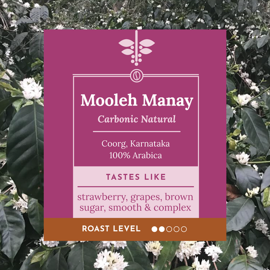 A product label for Mooleh Manay Carbonic Natural coffee, set against a background of green coffee leaves and small white flowers. The label is magenta pink with white text and a brown band at the bottom indicating roast level.